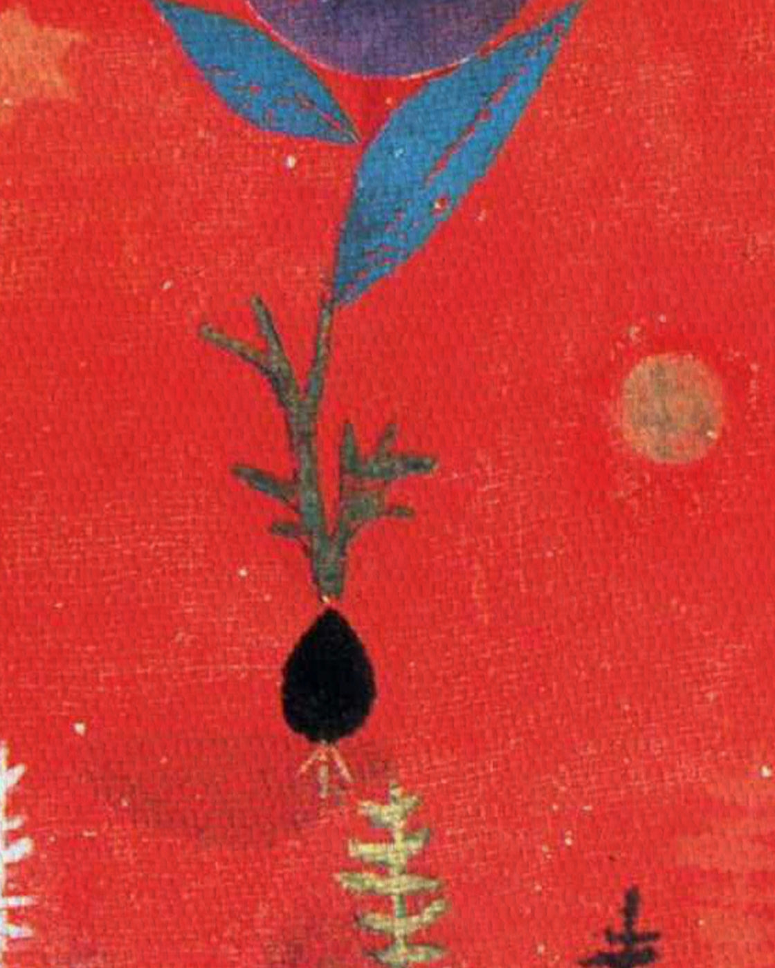 canvas