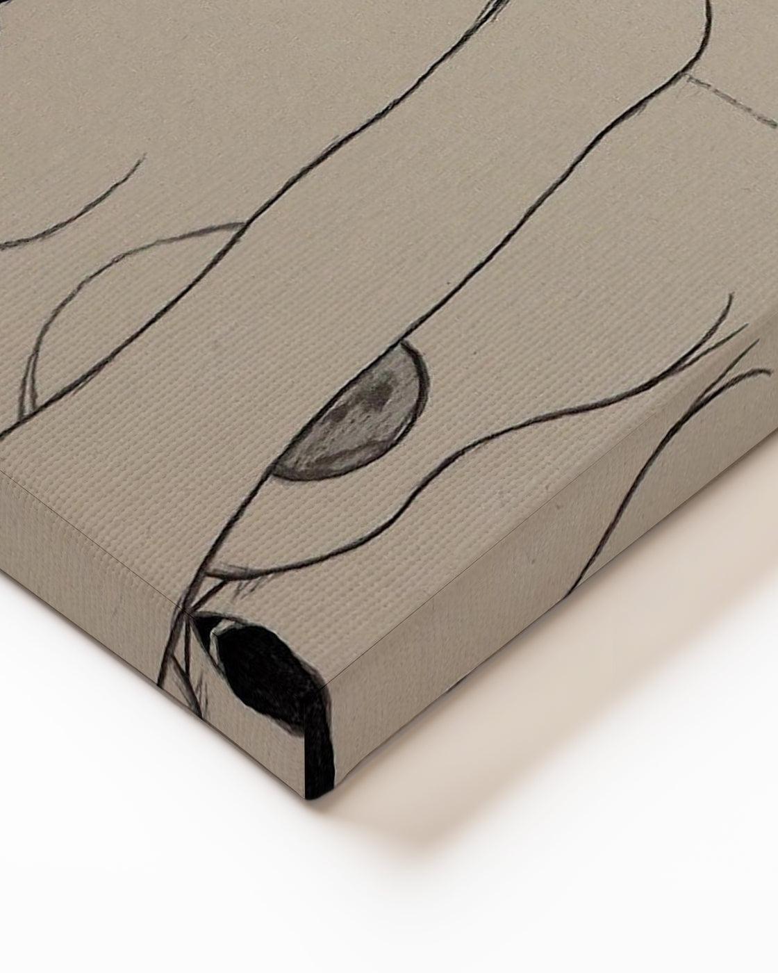 stretched-canvas