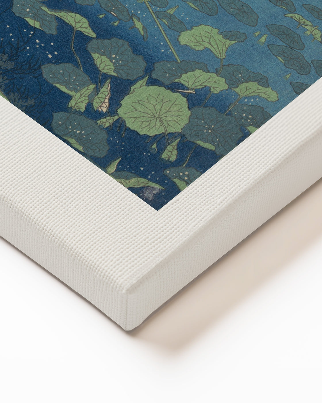 stretched-canvas