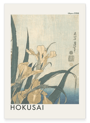 Katsushika Hokusai - Museum-Poster I Grashüpfer und Iris (Gelbe Blumen)