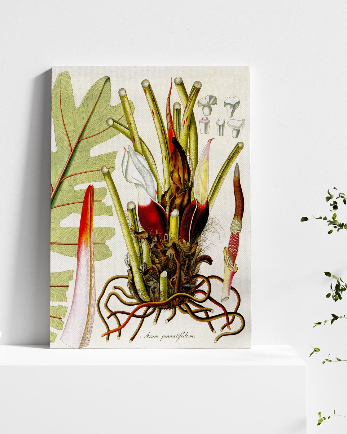 stretched-canvas
