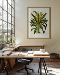 After Hover: Anthurium Jilekii - Tropenpflanze