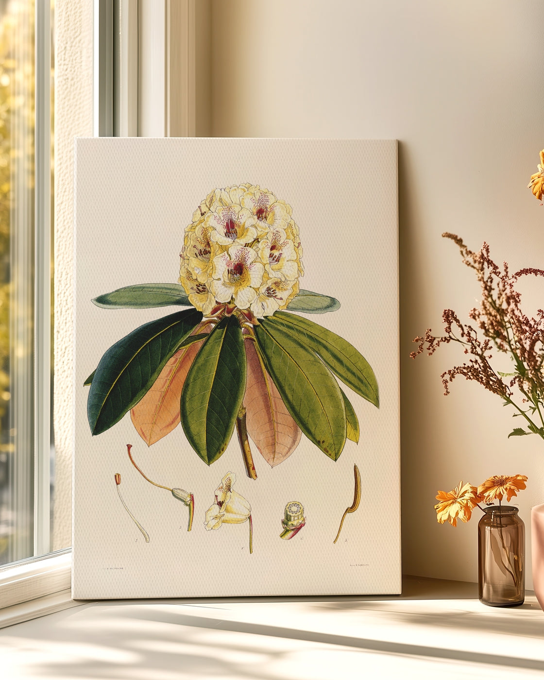 stretched-canvas