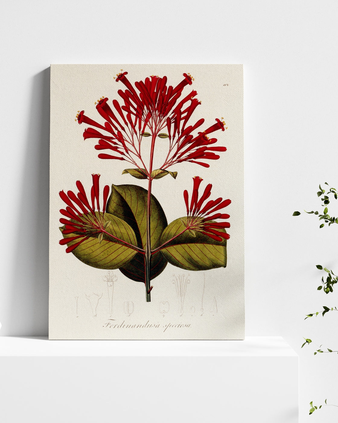 stretched-canvas