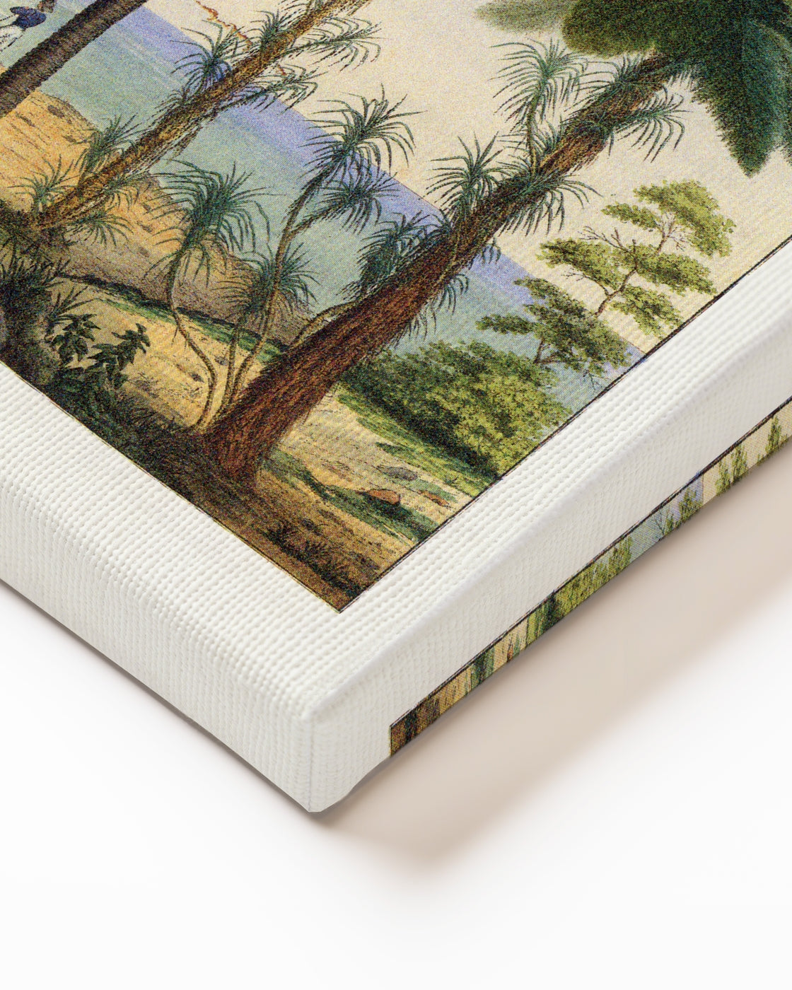 stretched-canvas