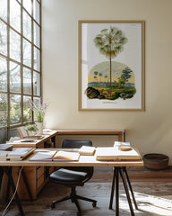 After Hover: Livistona - Australische Landschaft mit Palmen