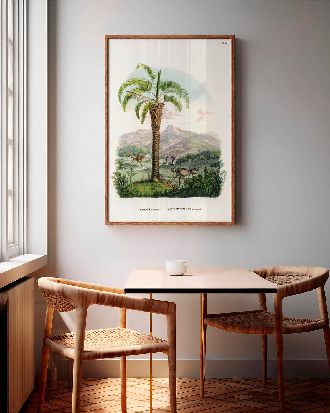 canvas