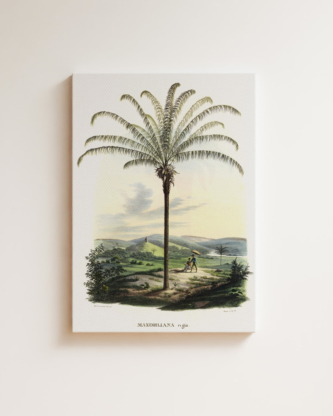 stretched-canvas