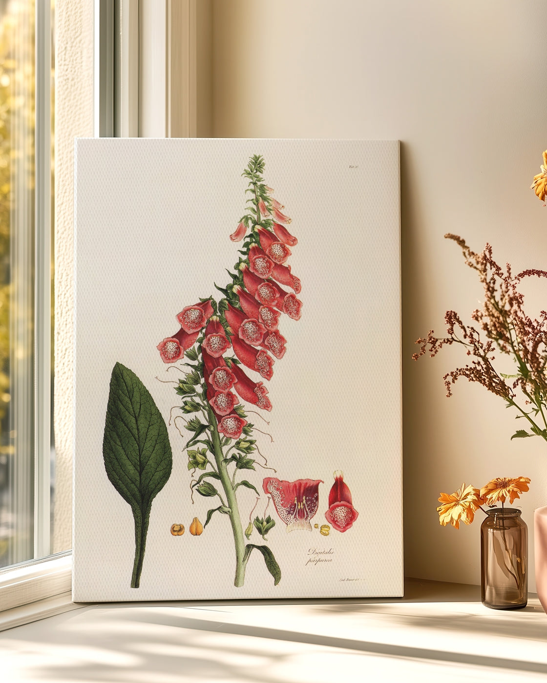 stretched-canvas