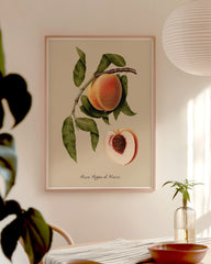 After Hover: Pfirisch am Zweig