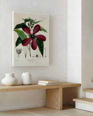 After Hover: Roter Hibiskus