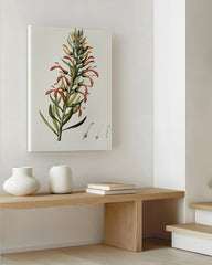 After Hover: Lobelia Tupa - Teufelstabak