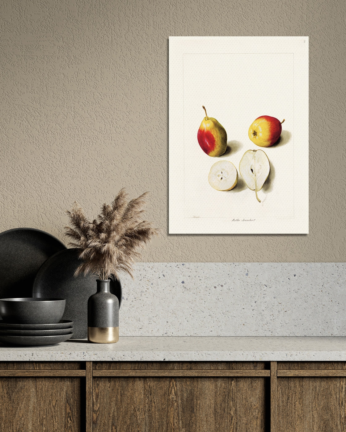 stretched-canvas
