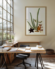 After Hover: Afrikanische Blume Stapelia Hircosa - Stapelien im Vintage Style