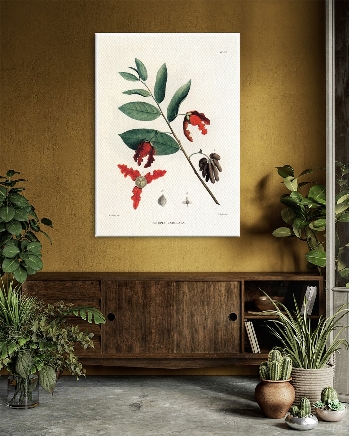 stretched-canvas
