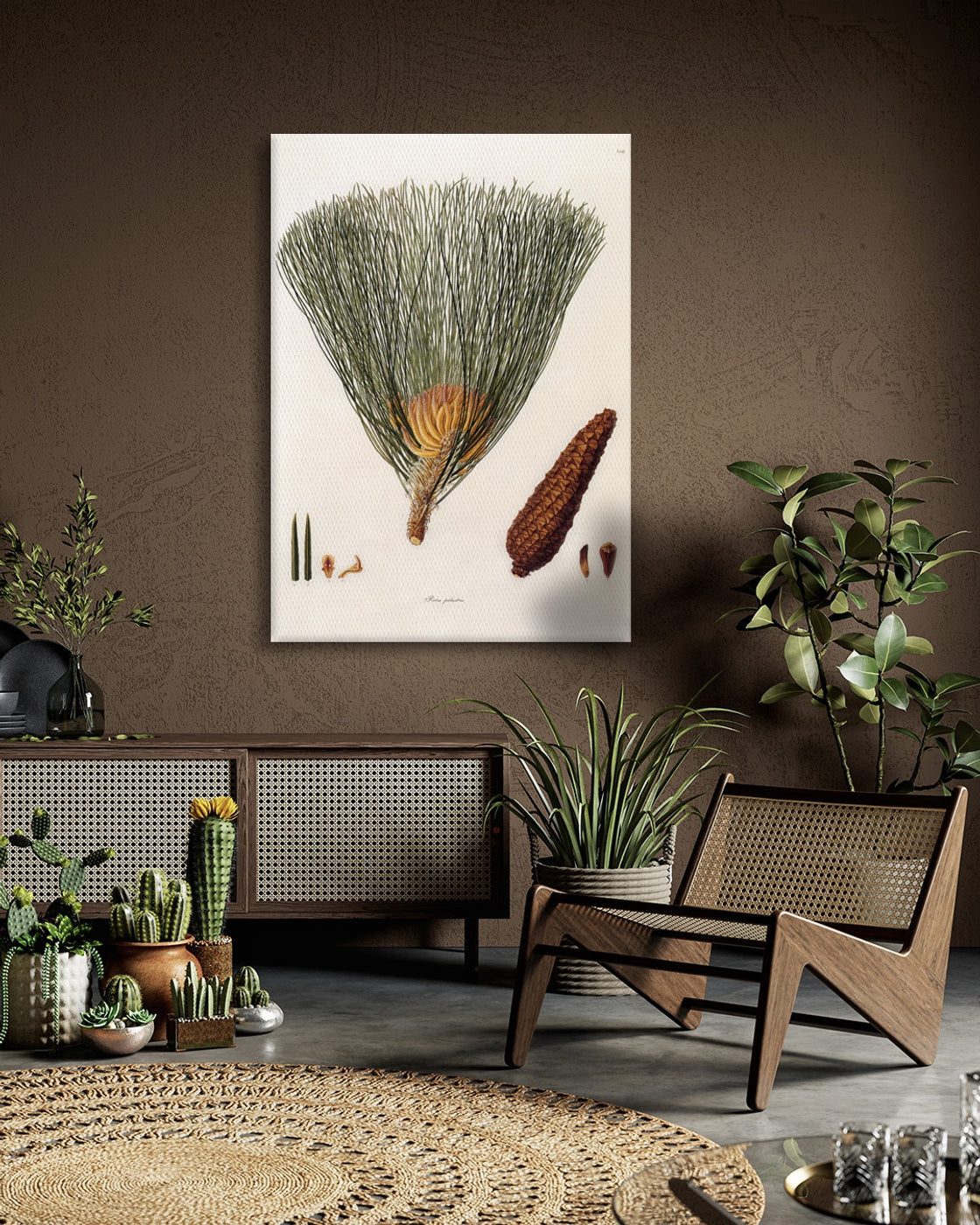 stretched-canvas