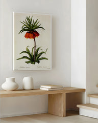 After Hover: Fritillaria Imperialis - Kaiserkrone