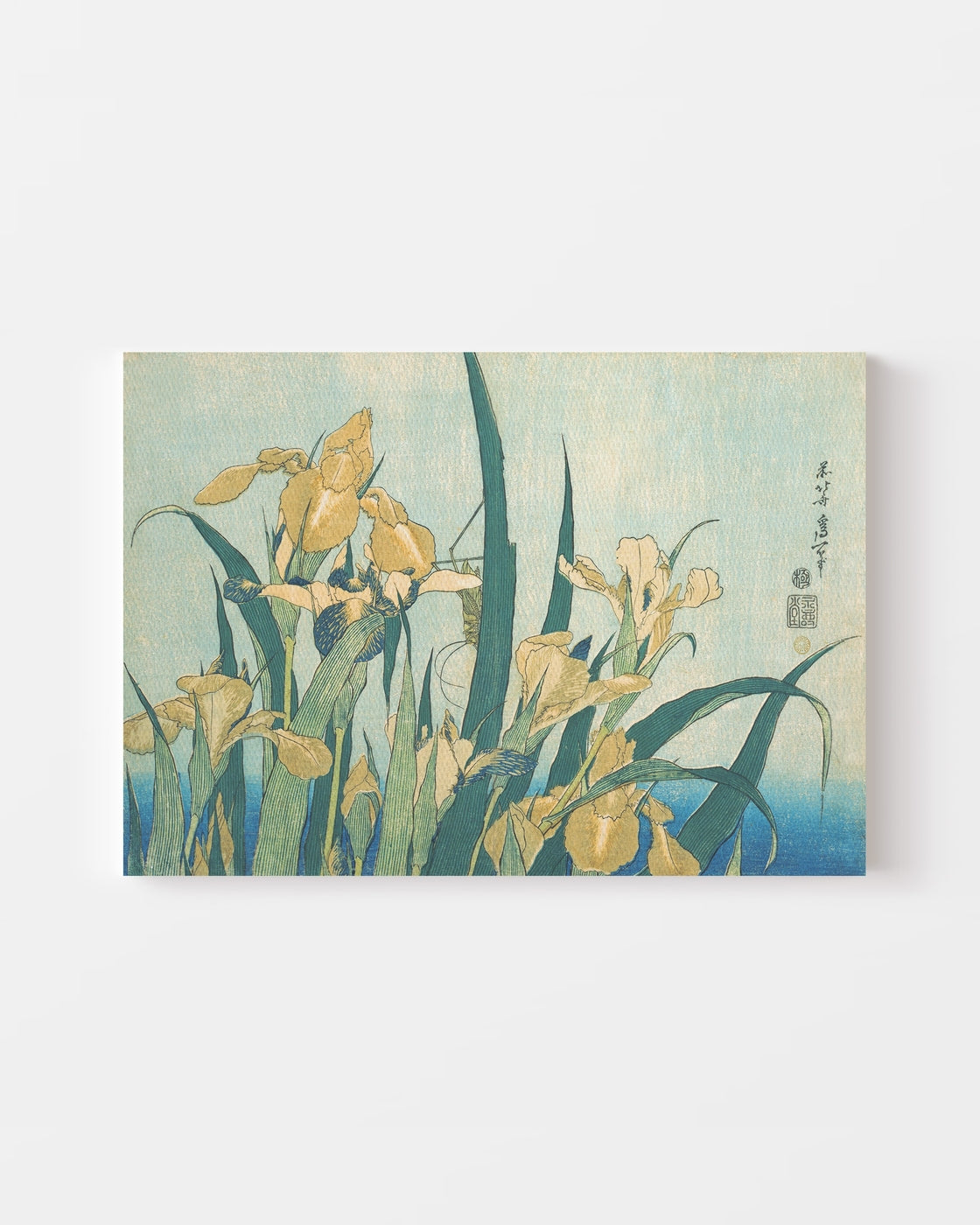 stretched-canvas