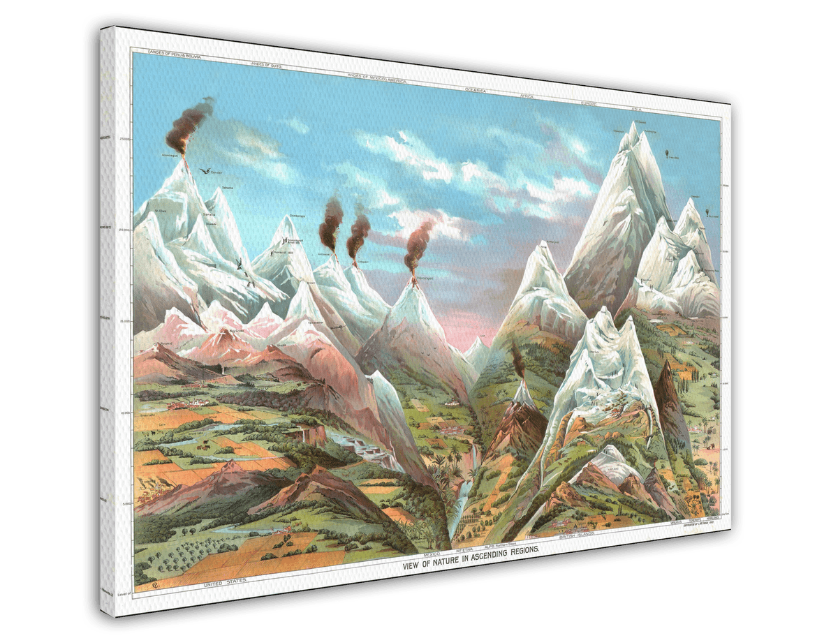 stretched-canvas