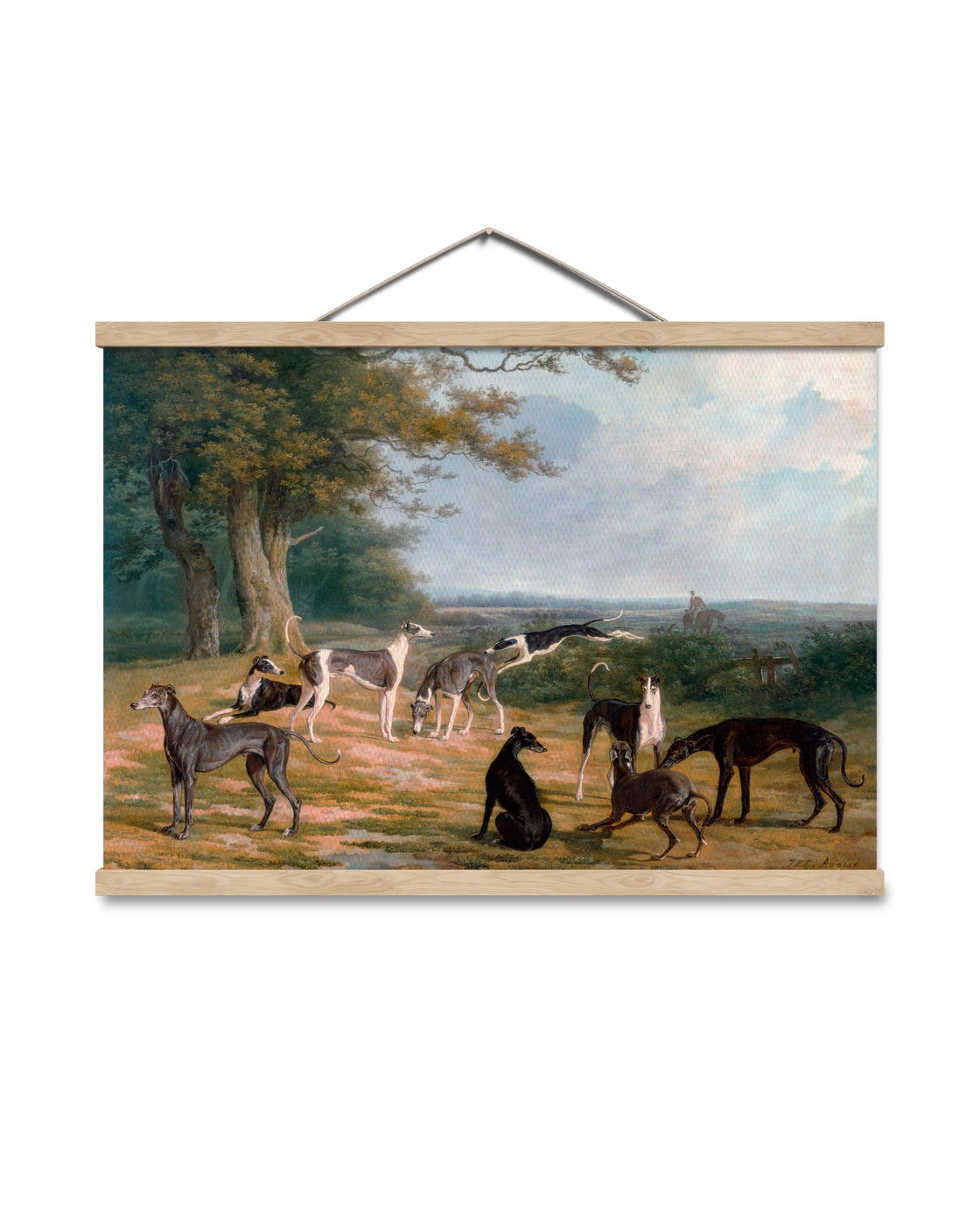 canvas