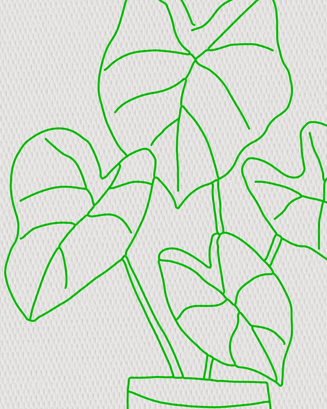 canvas