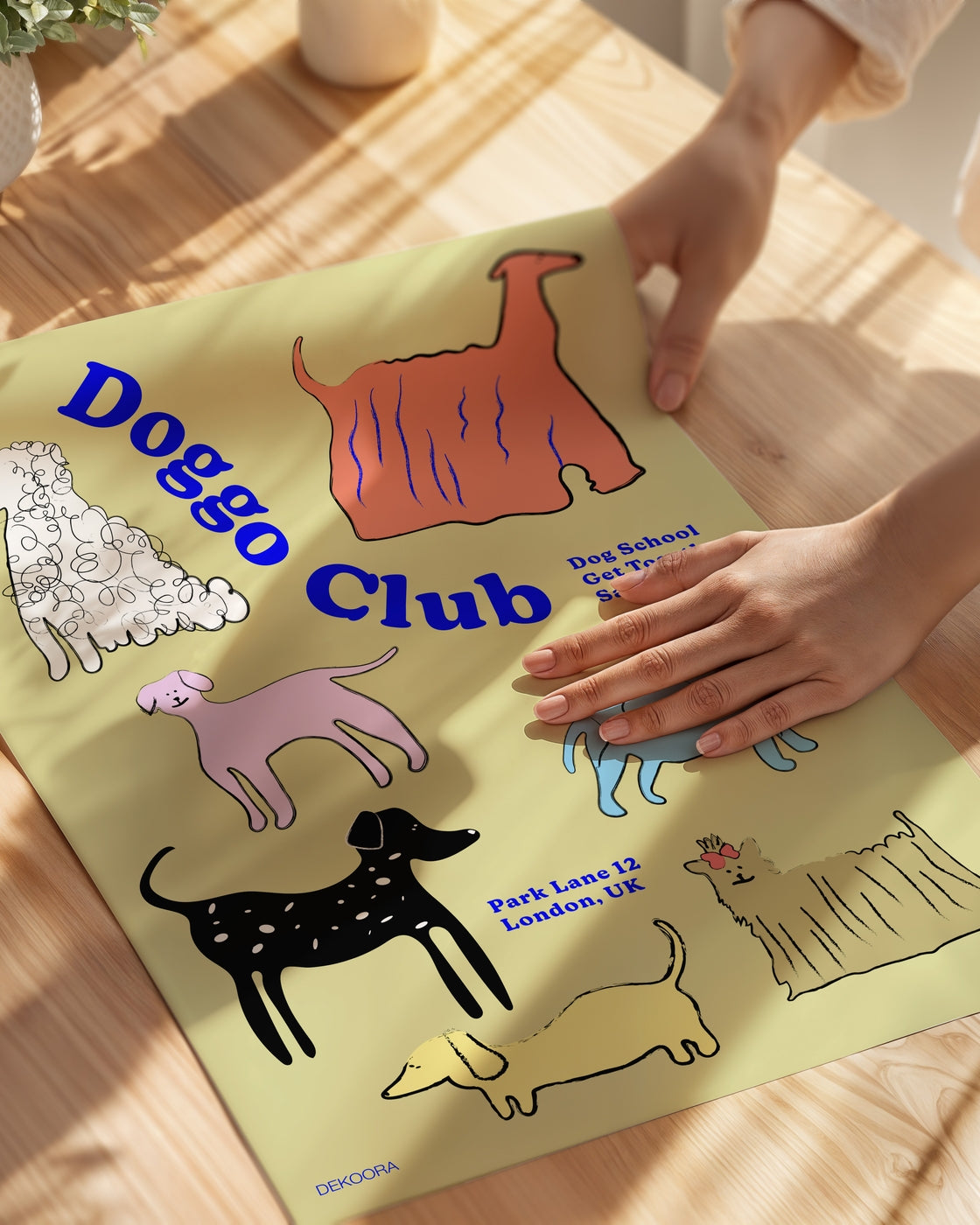 poster