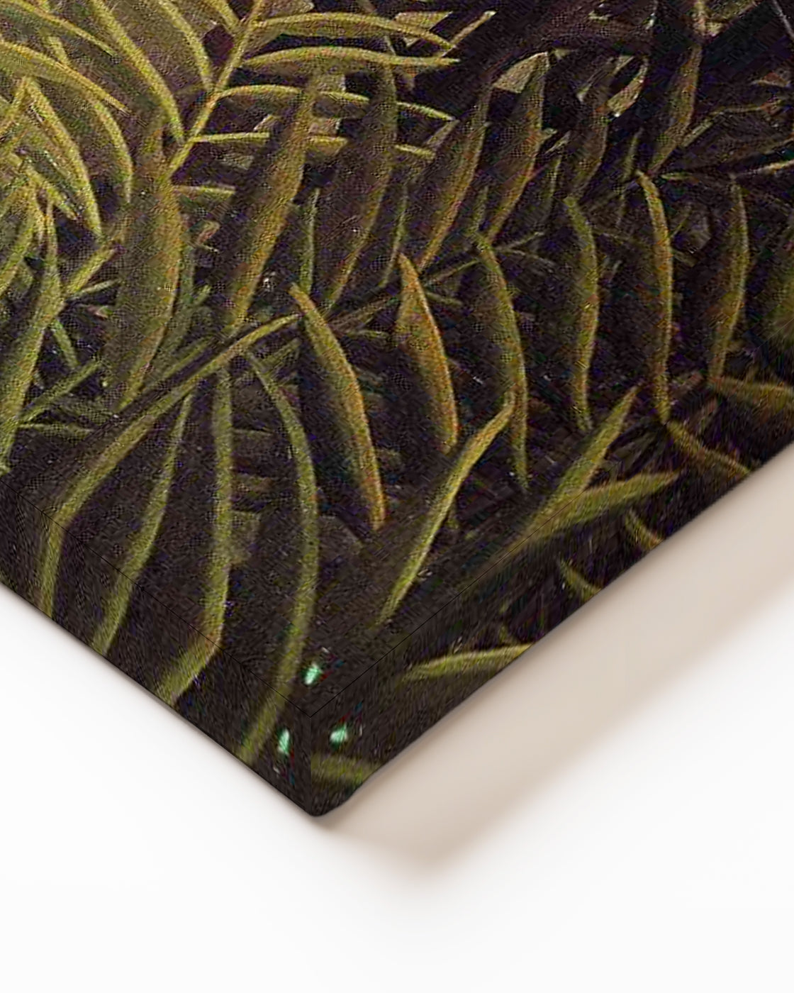 stretched-canvas