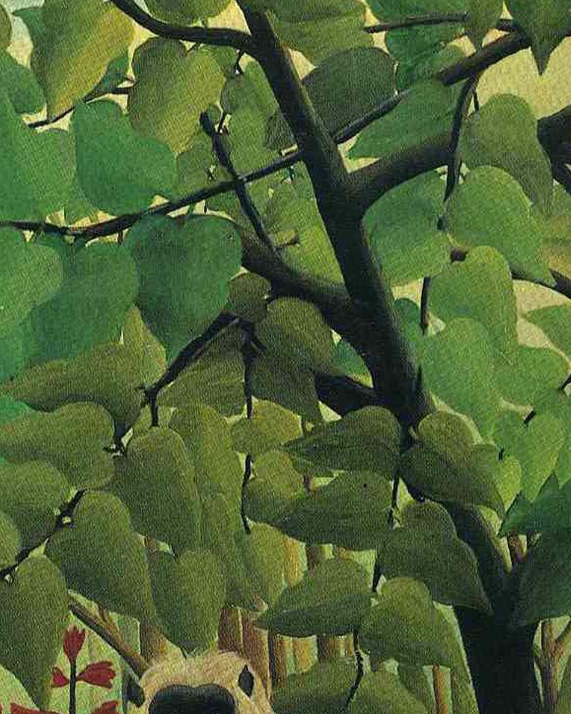 canvas