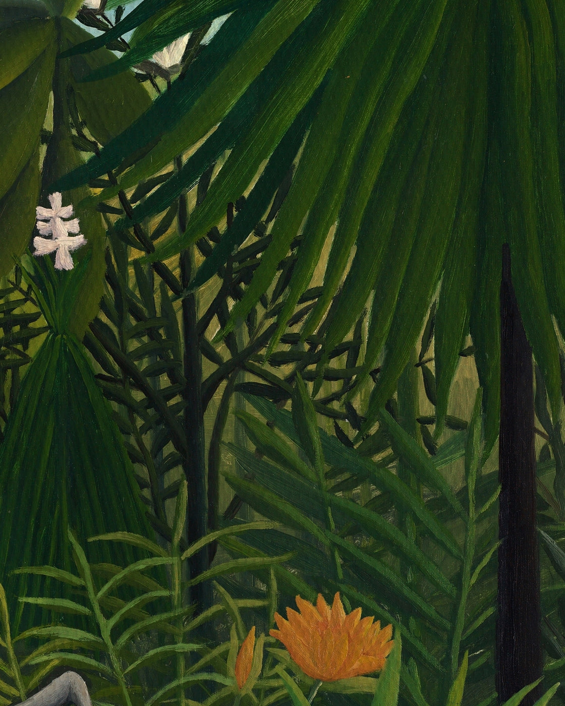 canvas