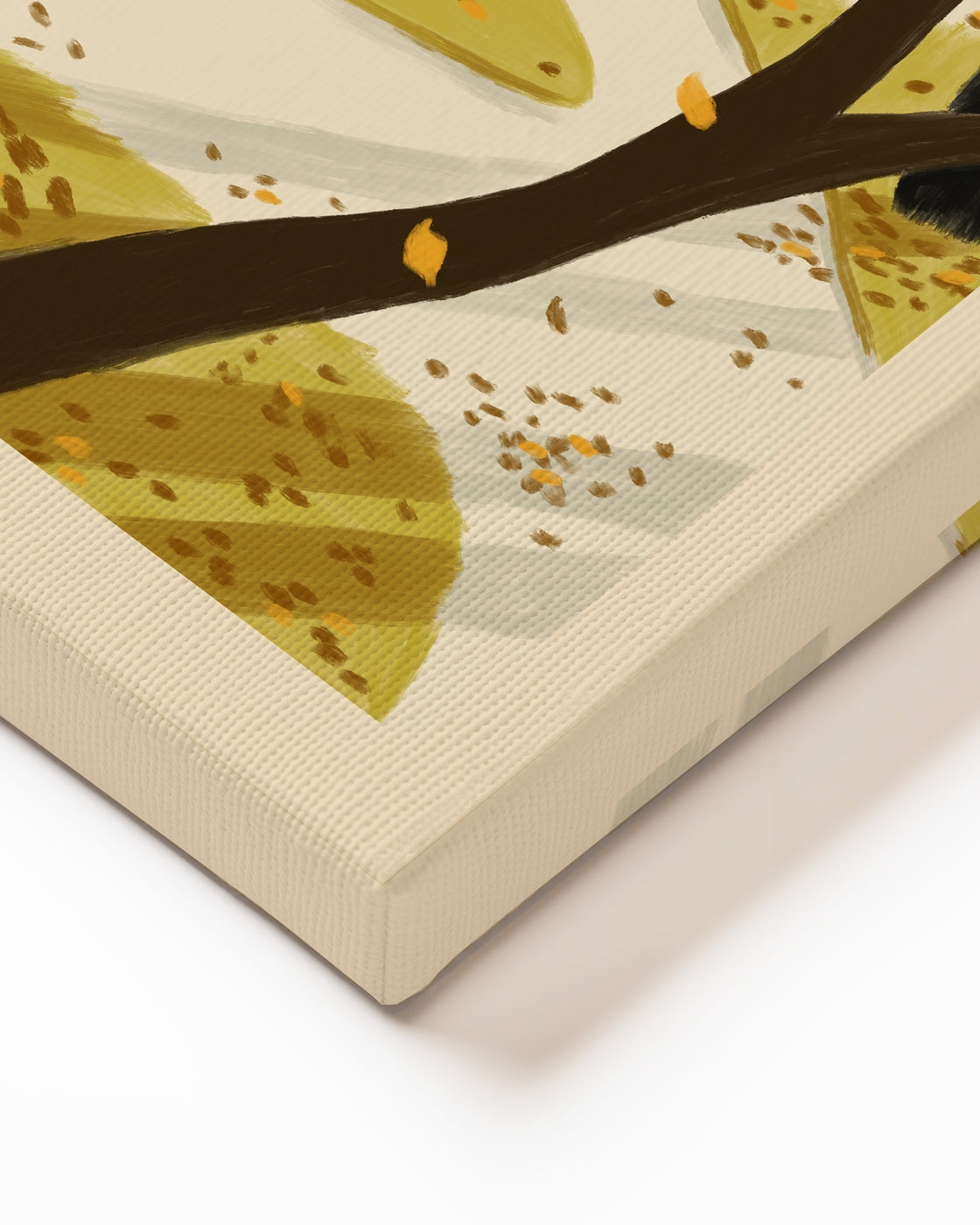 stretched-canvas