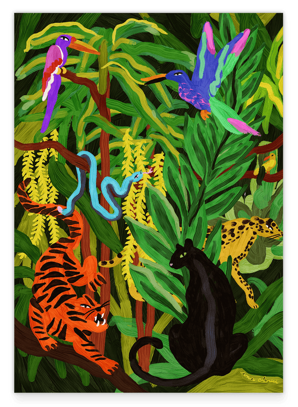Jungle Paradise: Großkatzen und Paradiesvögel
