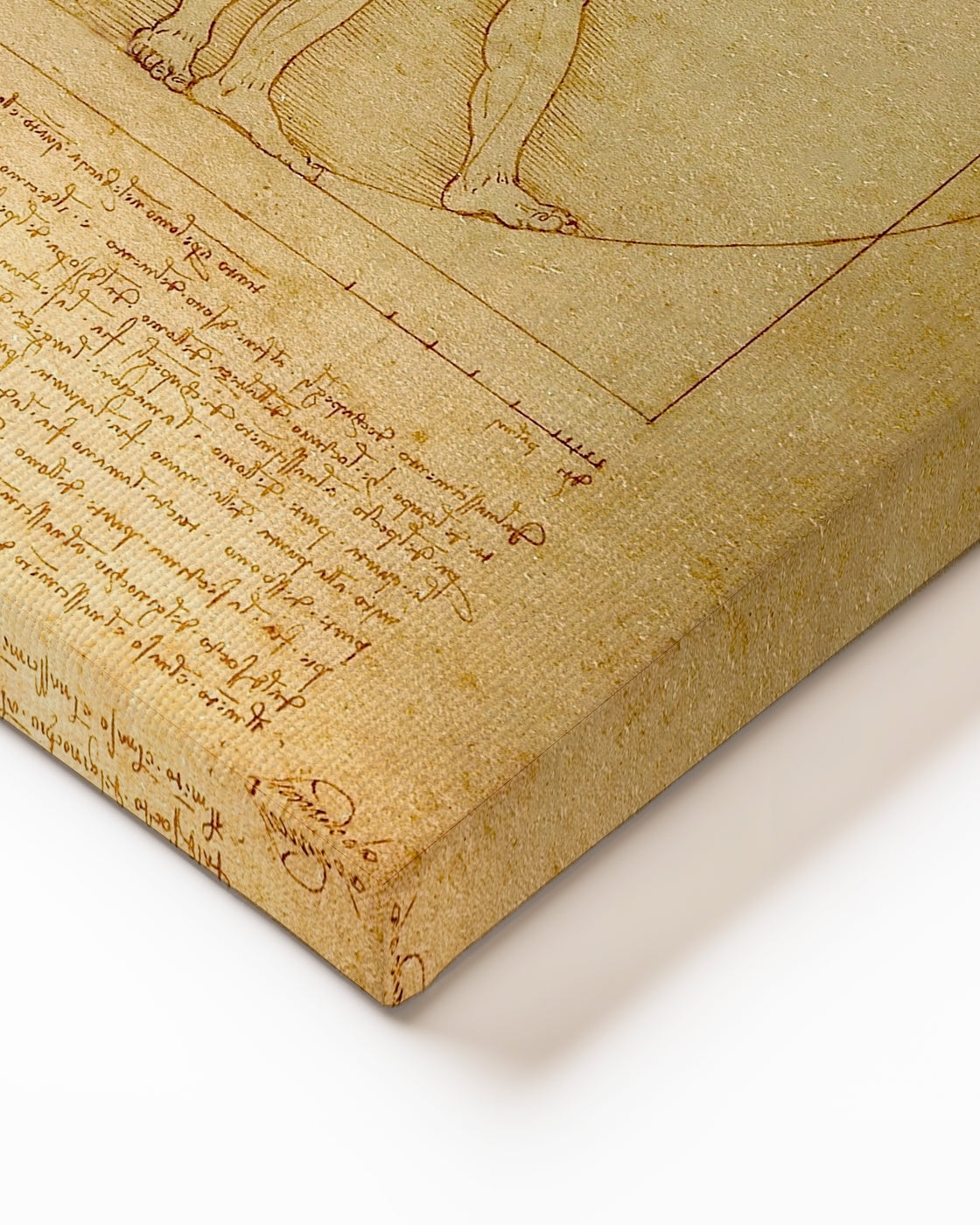 stretched-canvas