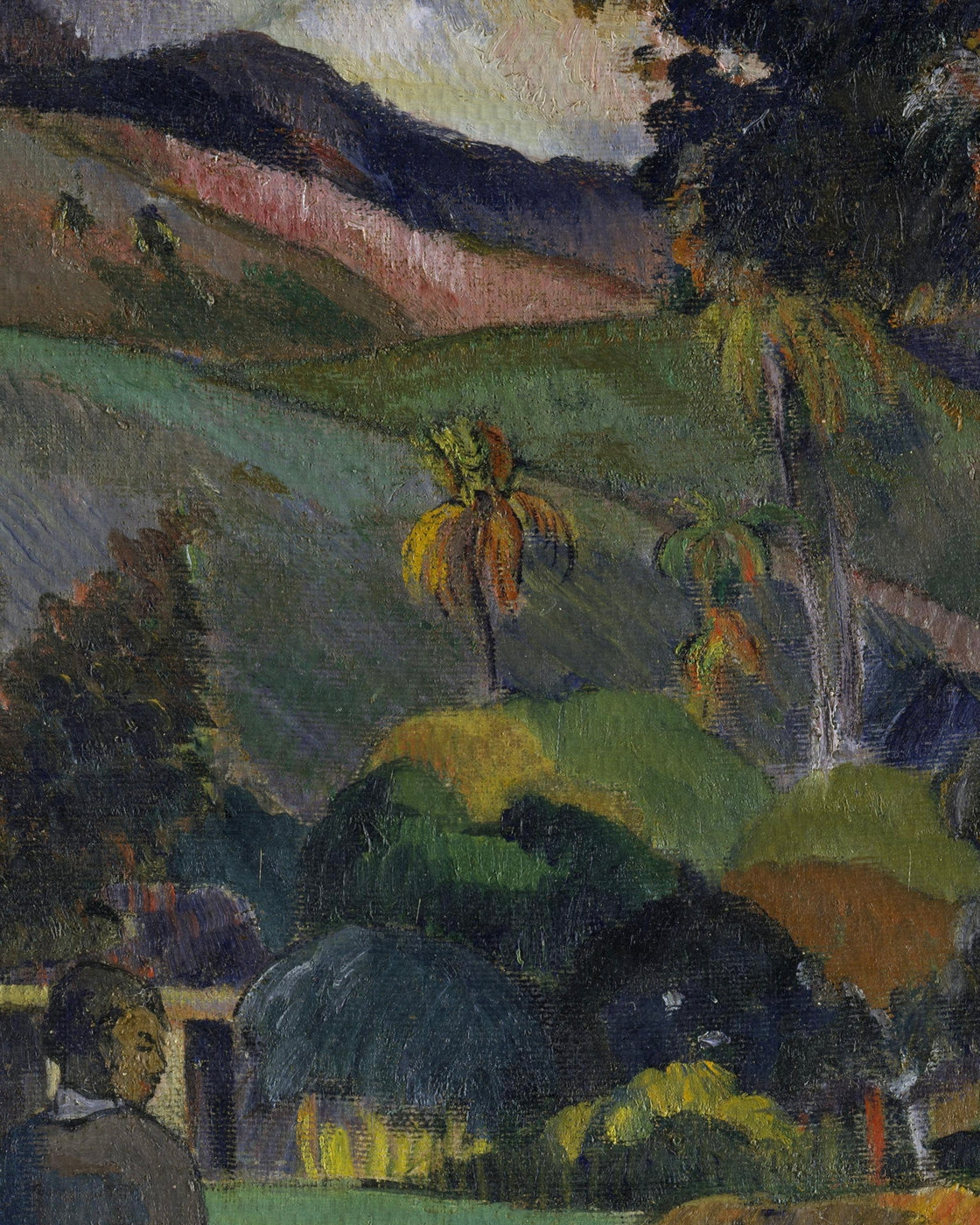 canvas