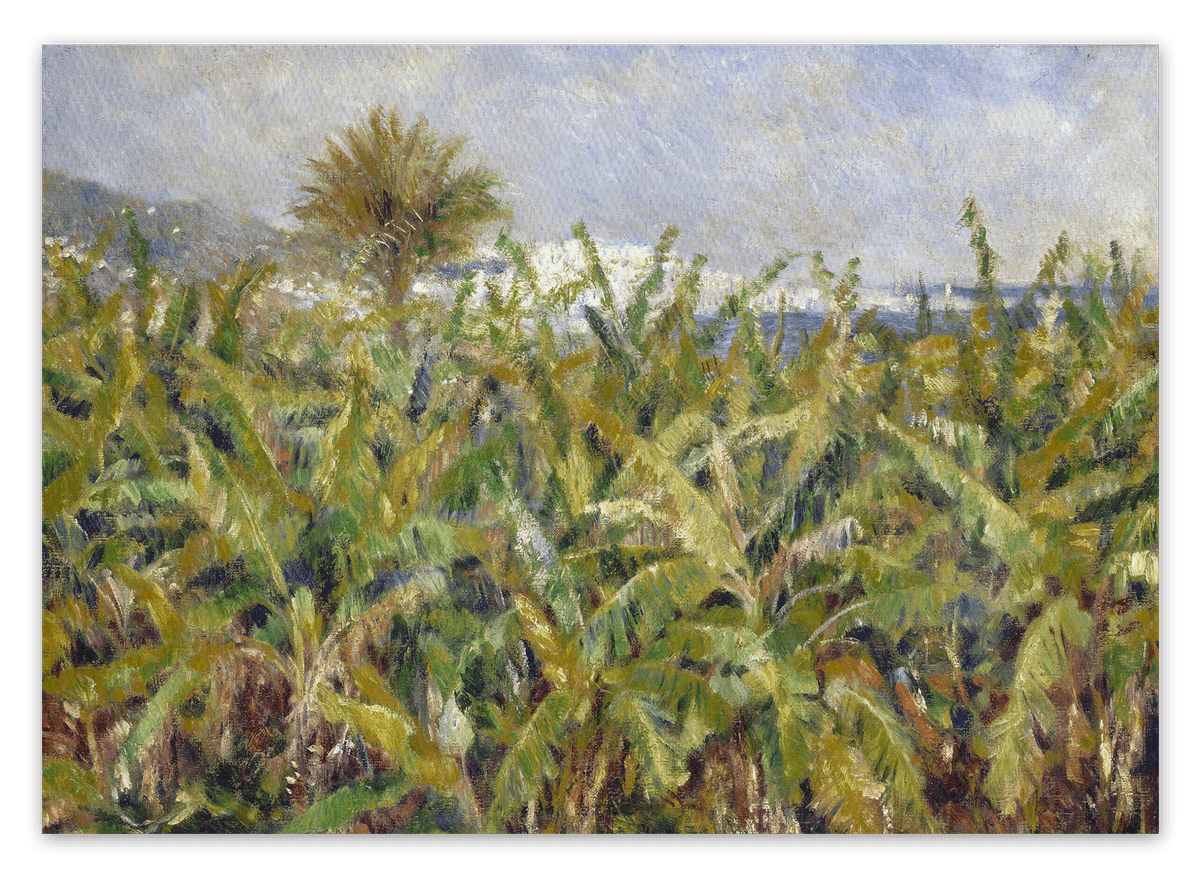 canvas