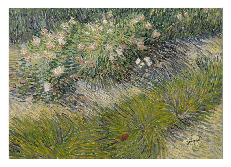 Vincent van Gogh - Gras und Schmetterlinge