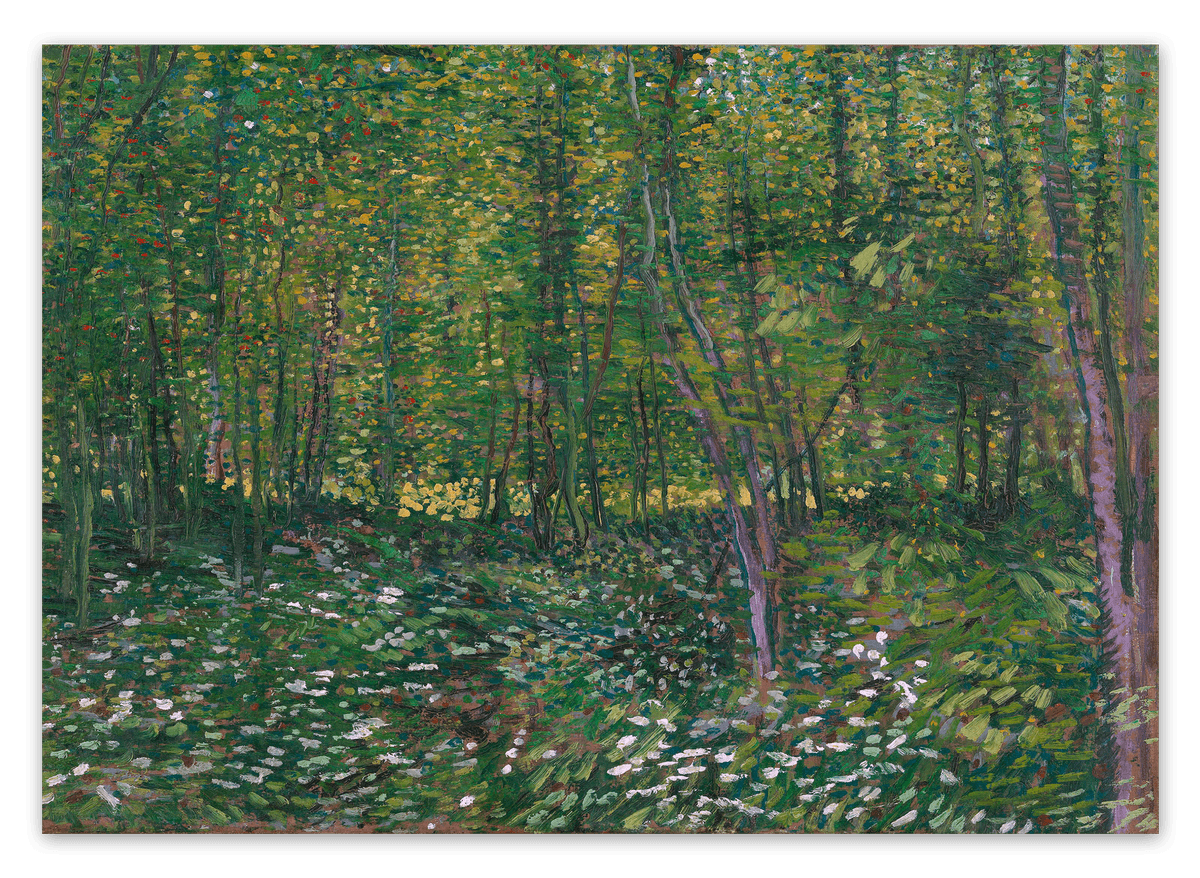 canvas