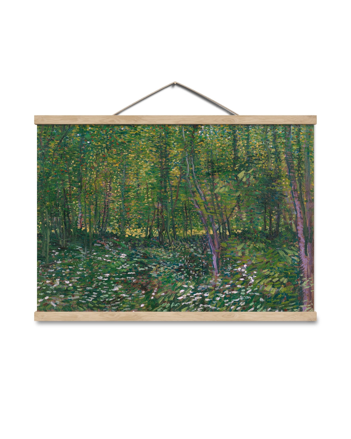 canvas