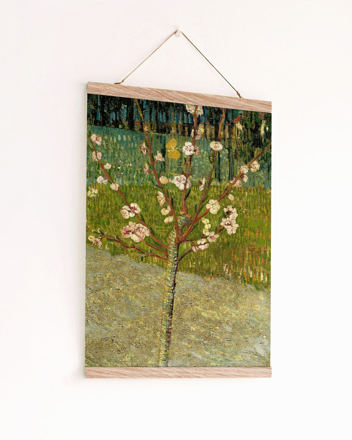 canvas