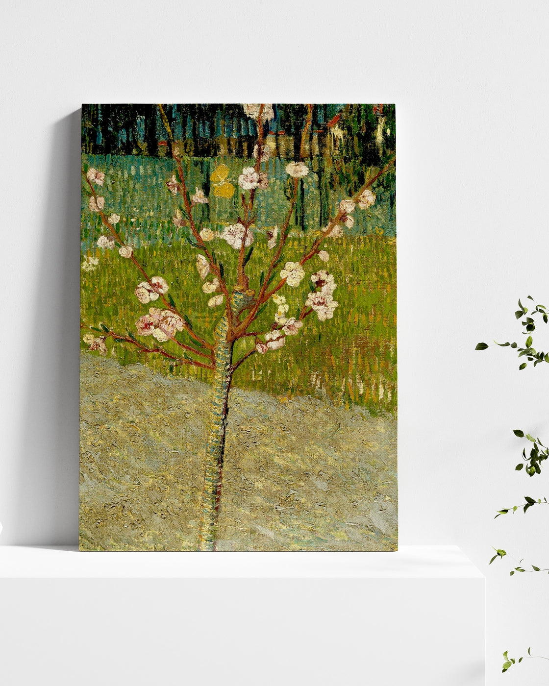 stretched-canvas