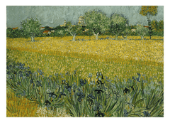 Vincent van Gogh - Feld mit Blumen in der Nähe von Arles