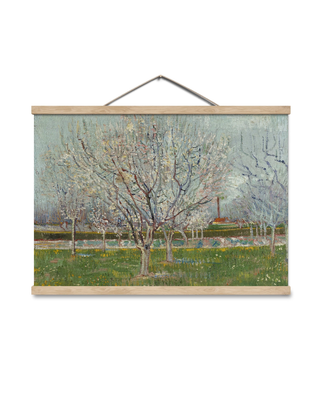 canvas