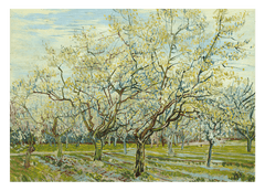 Vincent van Gogh - Der weiße Obstgarten