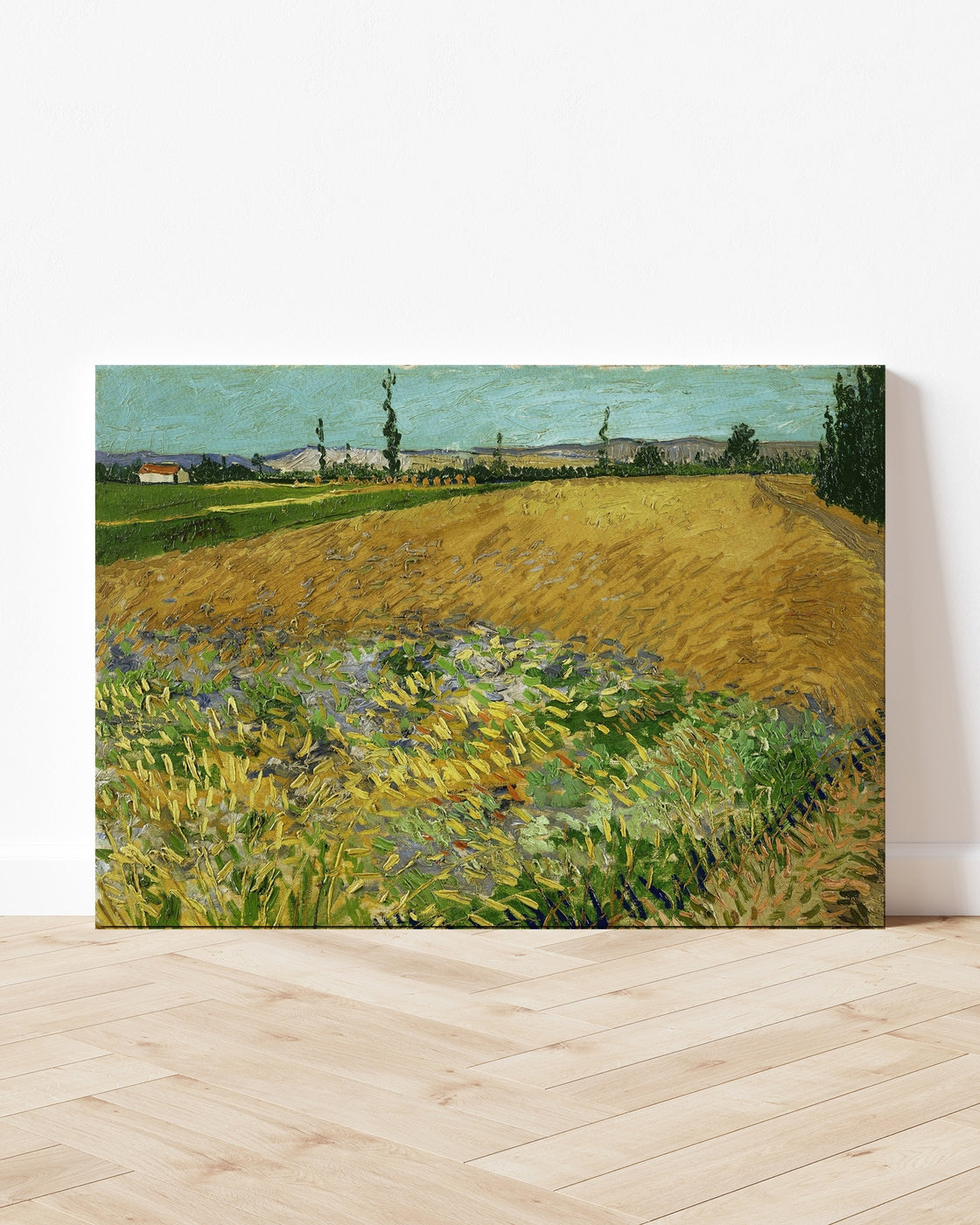 stretched-canvas