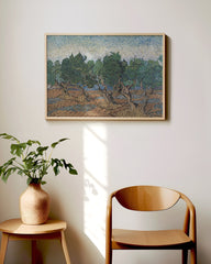 After Hover: Vincent van Gogh - Oliven-Hain