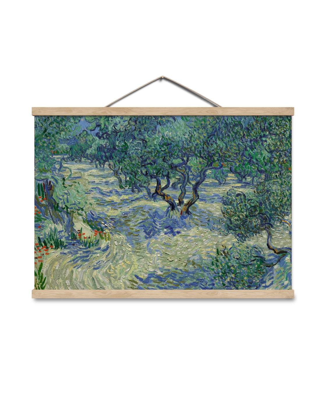 canvas