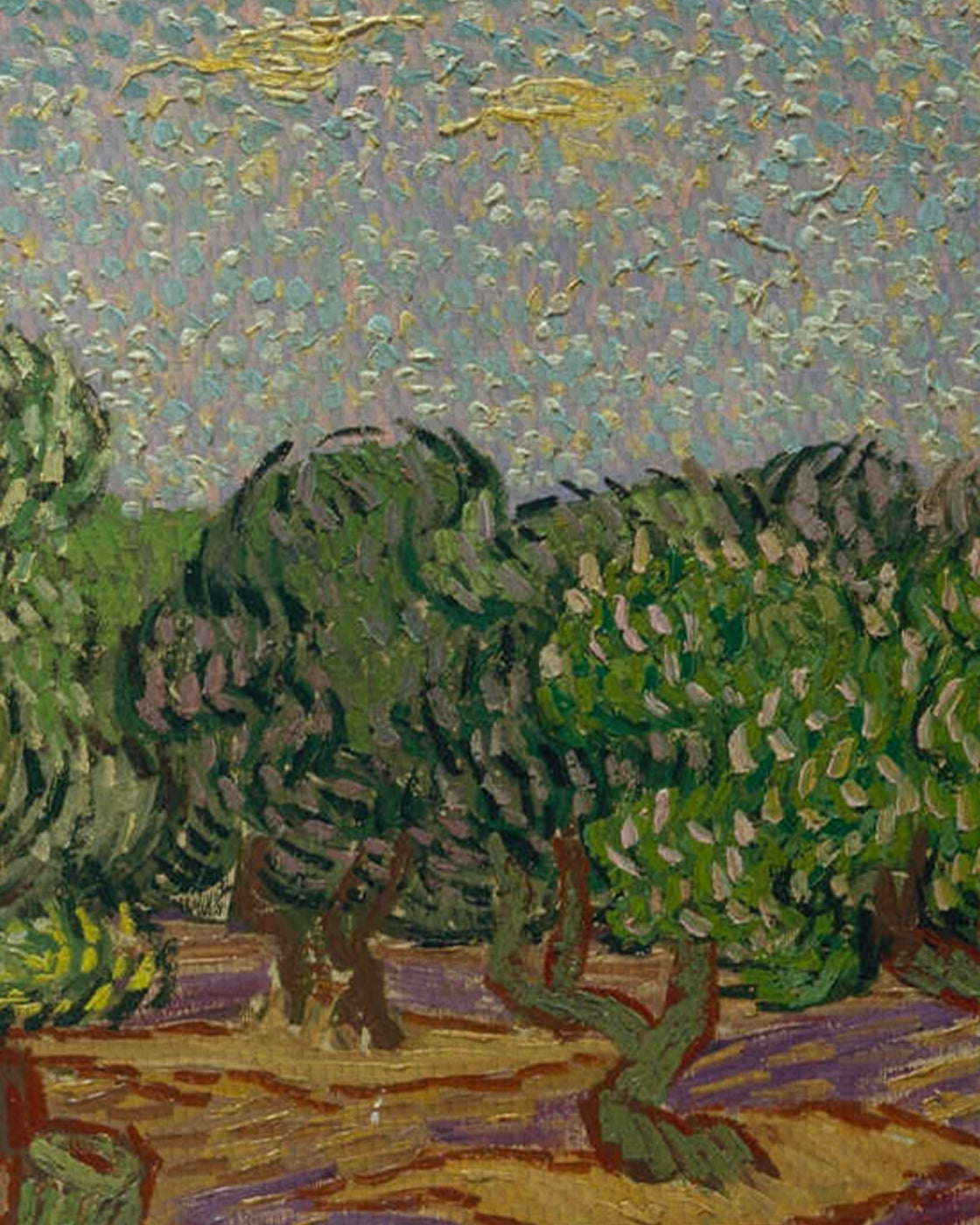 canvas