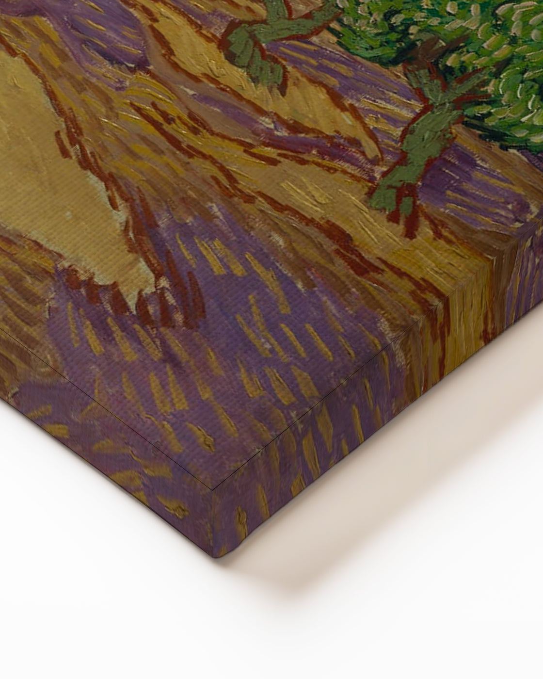 stretched-canvas