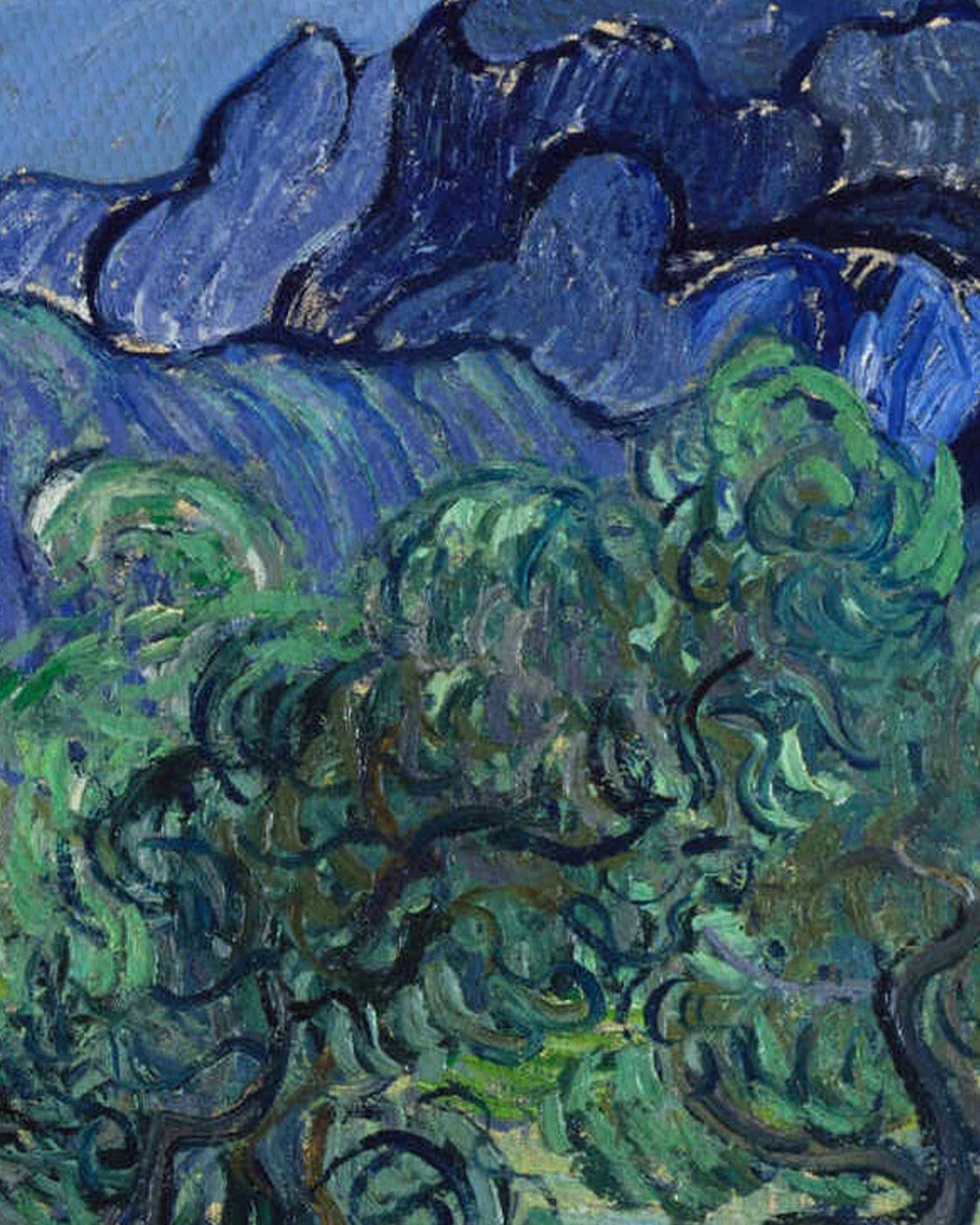 canvas