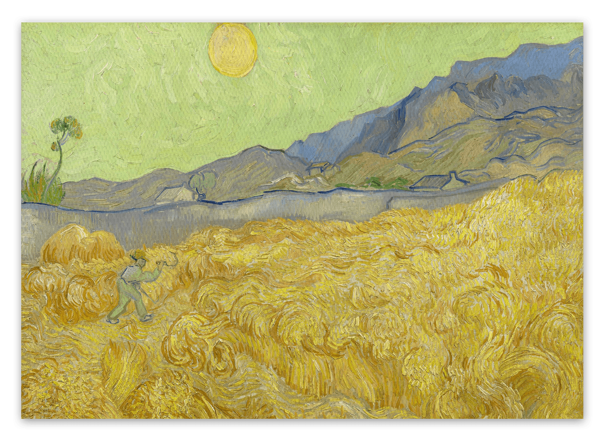 canvas