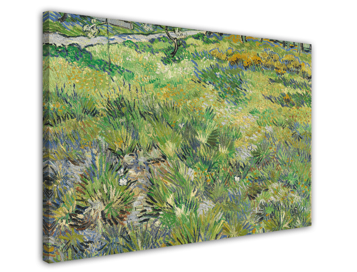 stretched-canvas